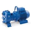 Varisco Pumps Vietnam